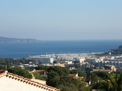 Beach/ocean view