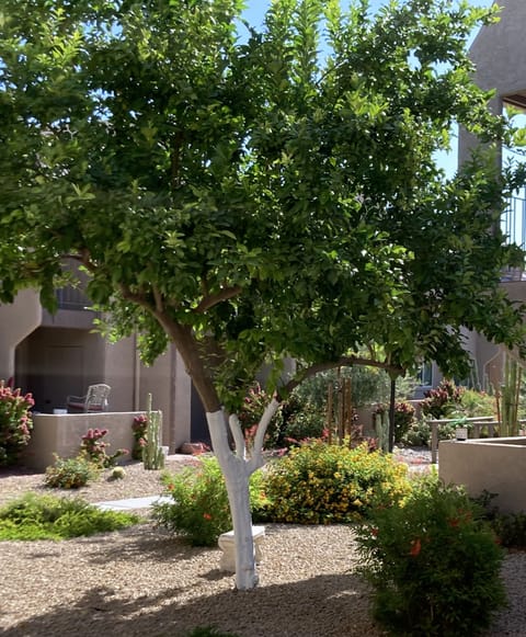 Beautiful, serene view from kitchen window.