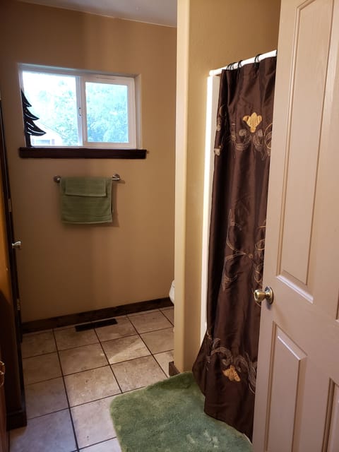 Combined shower/tub, jetted tub, hair dryer, towels