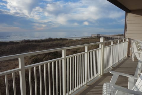 Amazing views of ocean and wildlife from oversized balcony!