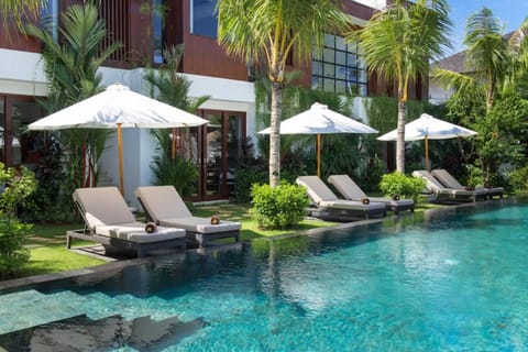 Outdoor pool, sun loungers