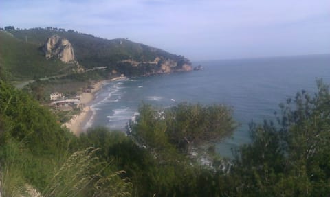 Beach nearby, sun loungers