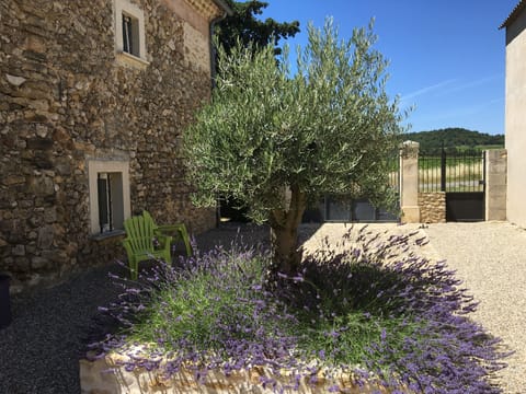 Looking out from the barn onto the inner courtyard