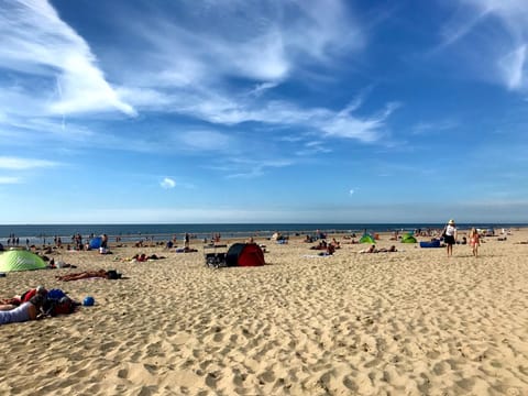 Beach nearby, sun loungers