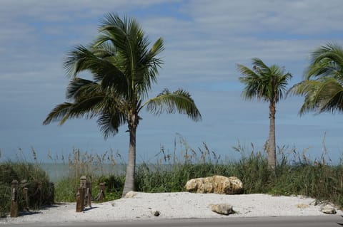 On the beach, sun loungers