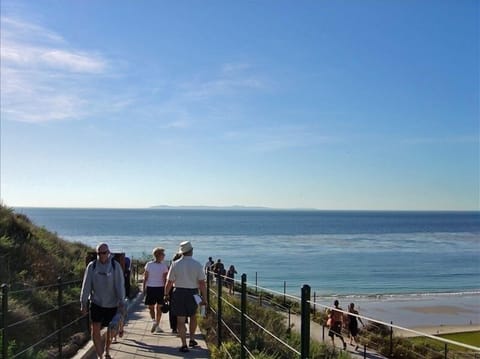 Amazing Ocean Views.......New beach trail Now open. Bring your camara!