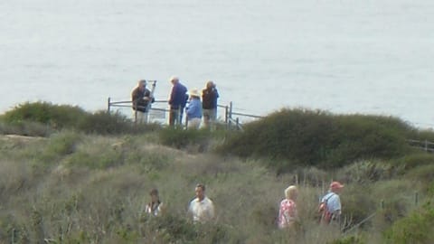 Beautiful beach trail to leads to the harbor. Wow what a view !