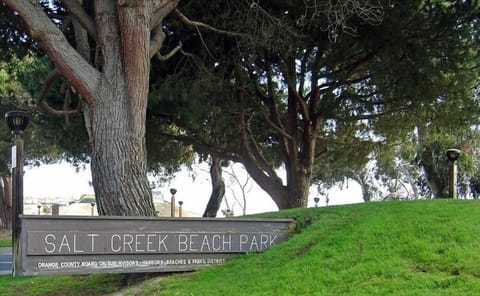 Salt Creek Beach Park just across our condo