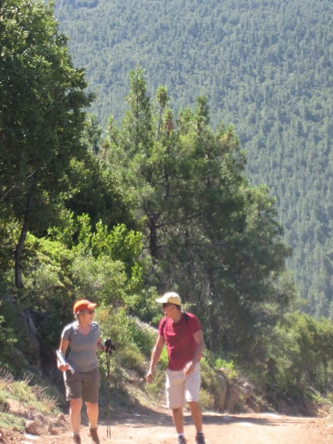 Great trail up Mt. Konocti