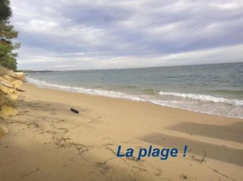 Beach nearby, sun loungers