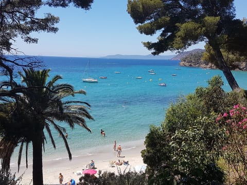 Beach nearby, sun loungers