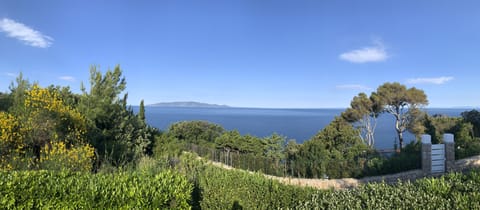Picturesque garden view from front facing the island of Giglio.