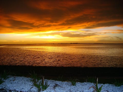 Beach nearby, sun loungers, beach towels