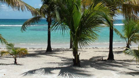 Beach nearby, sun loungers