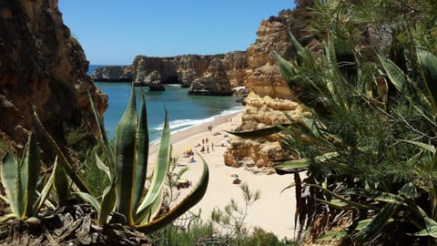 Beach nearby, sun loungers, beach towels