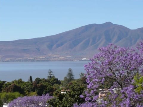 Ajijic view of Lake Chapala - IN FEBRUARY !
