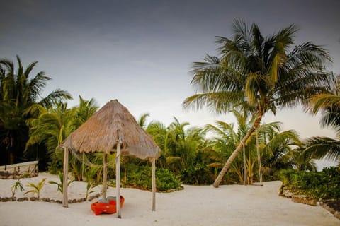 On the beach, sun loungers