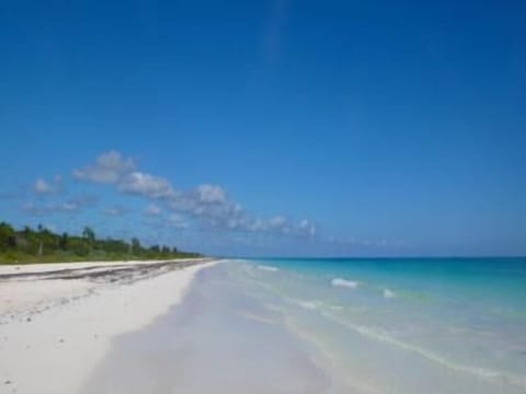 On the beach, sun loungers