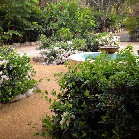 Tropical gardens and fountan, Casa Oasis Troncones beachfront vacation rental