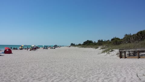 Sun loungers, beach towels