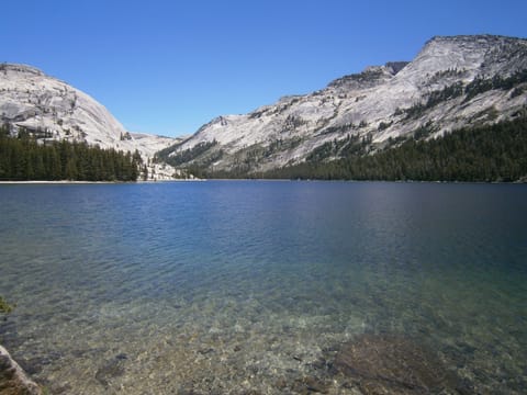 Tenaya Lake on Tioga Pass Road (Yosemite)