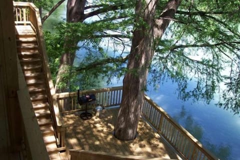 Huge Mature Cypress Trees provide shade for afternoon BBQ