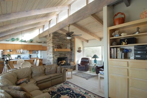 Living room and entertainment area