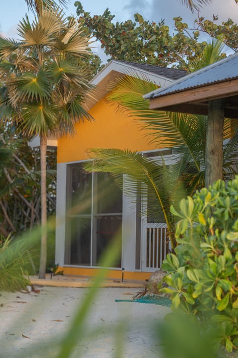 A true beach house