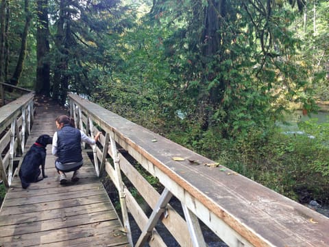 Hiking along the Cowichan River