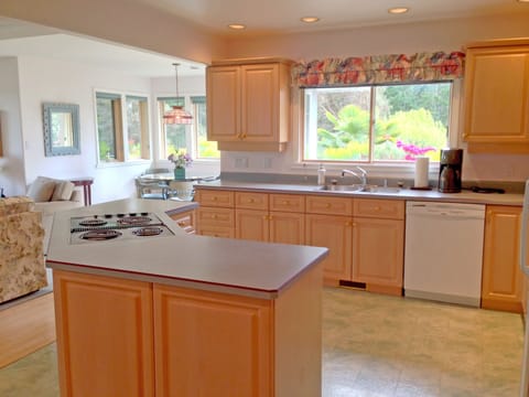 Kitchen with sunny seating area and outdoor BBQ