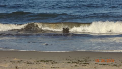 Beach nearby, sun loungers