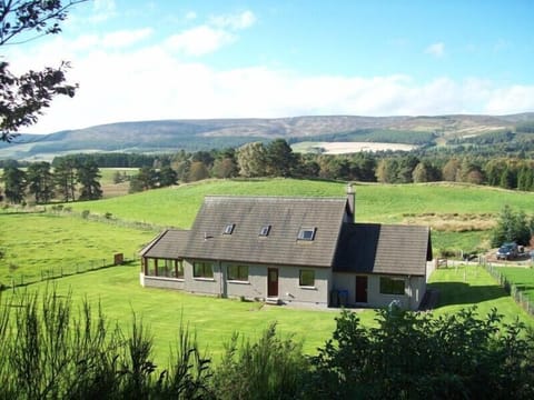 Clayhooter and south-facing garden.