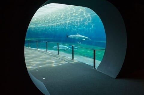 West, 300m: Expo area and the Aquarium