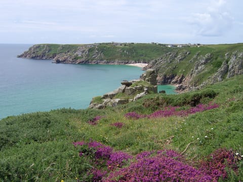 Treen Farm SSSI looking towards Porthcurno
