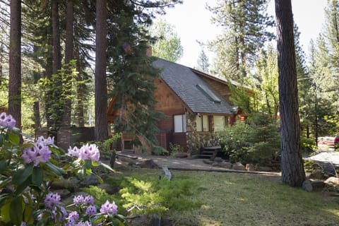 Come and relax in the tranquil settings of The Cabin.

