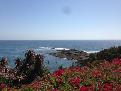 Beach nearby, beach towels