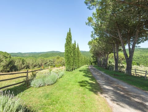 
18/5000
The driveway