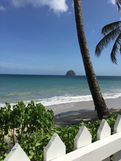 On the beach, sun loungers, beach towels