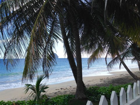 On the beach, sun loungers, beach towels