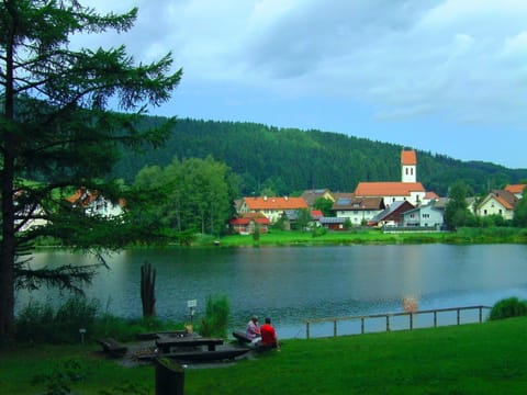 Bel appartement confortable dans un endroit calme près du lac de baignade naturel Appartement in Wangen im Allgäu