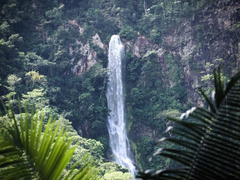 Eco-friendly toiletries, towels, soap, shampoo