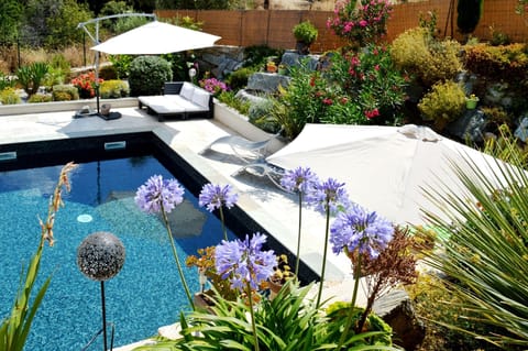 Outdoor pool, a heated pool, sun loungers