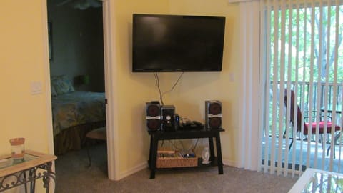 TV, DVD player, books, video library