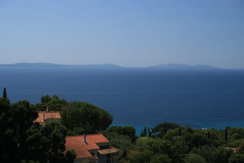 View from the balcony