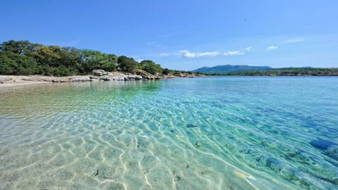 Beach nearby, sun loungers