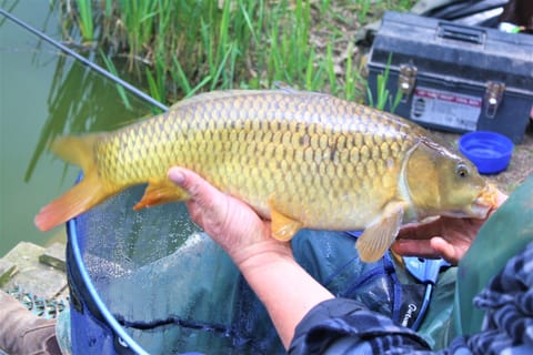 fishing on one of the 13 top class fishing lakes