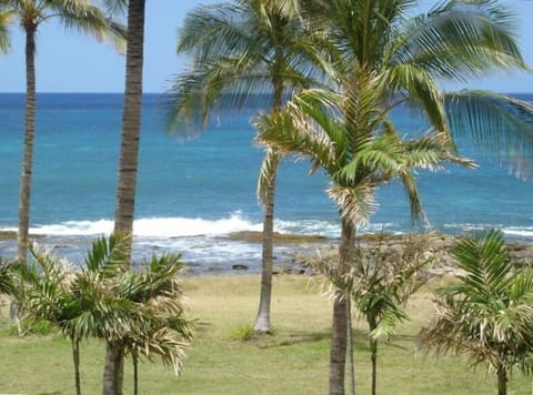 Beach nearby, sun loungers, beach towels