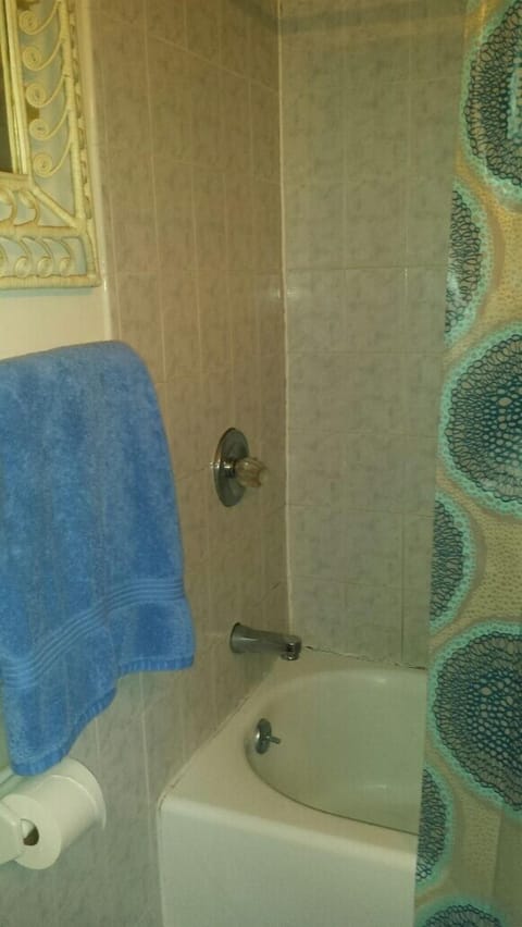 Combined shower/tub, hair dryer, towels, soap