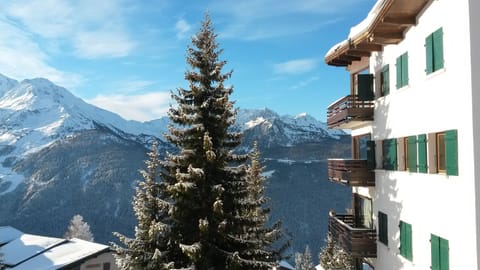 OUR APARTMENT (WITH SHUTTERS OPEN)