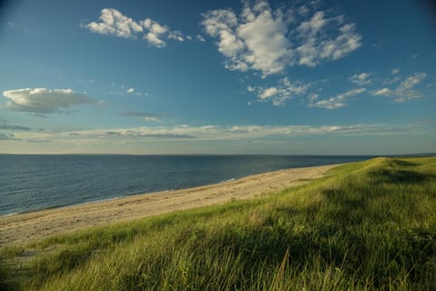 On the beach